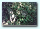 [Click to enlarge]