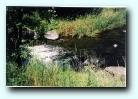 [Click to enlarge]