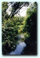 [Click to enlarge]